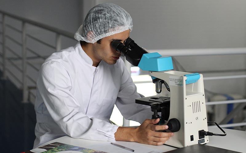 Pharmacy Technicians