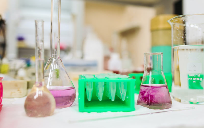 Understanding Protease