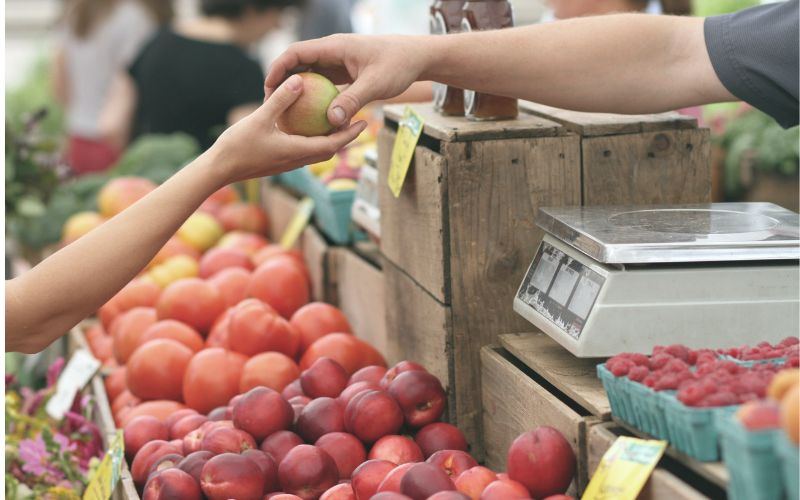 The Benefits of Performing Vendor Audits