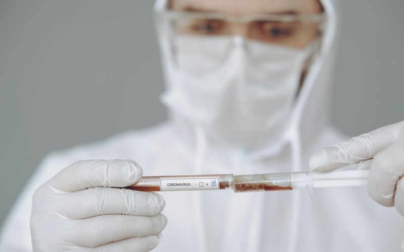 What are the Different Types of Human Blood-Plasma Fractions?