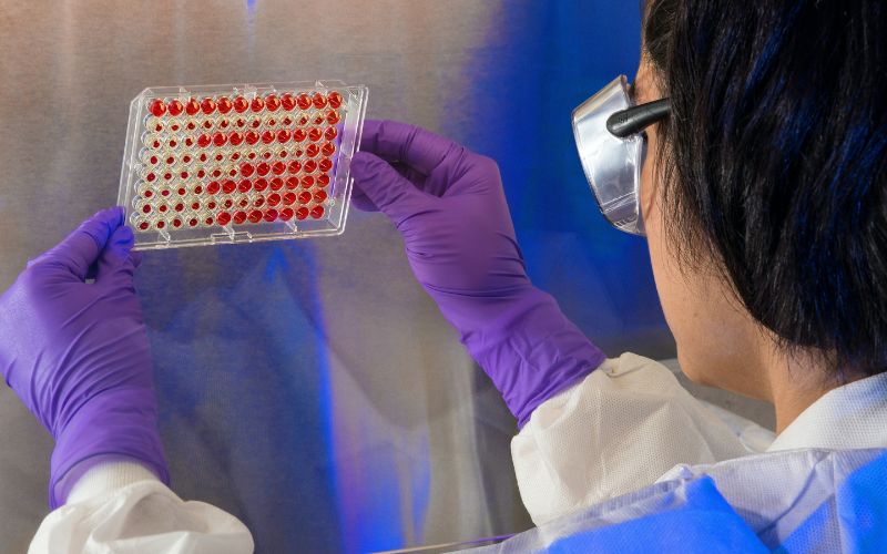What are Chromatographic Techniques