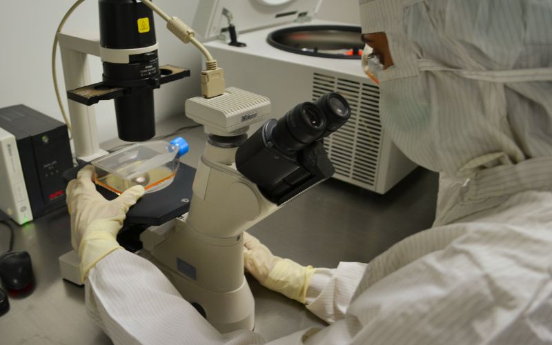 Understanding the Role of Pharmaceuticals and Medical Devices Agency (PMDA) in the Pharmaceutical Industry