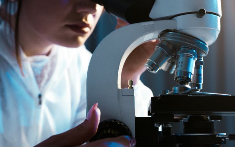 Drug Approval Process: Understanding the Regulatory Pathway