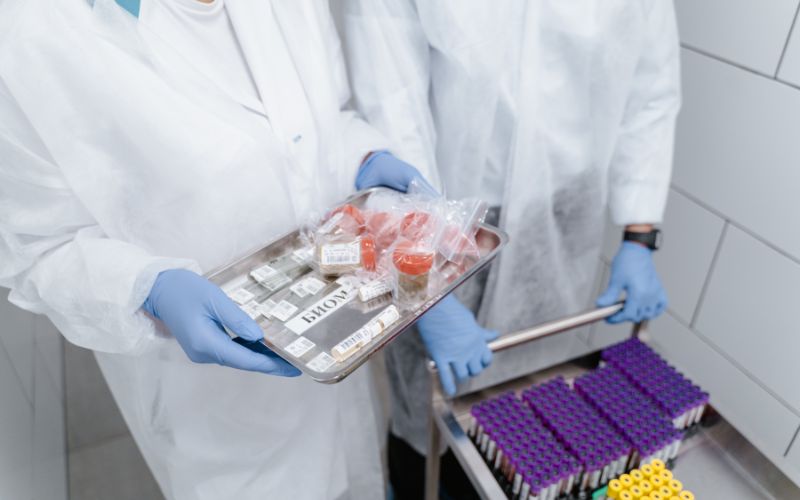 Drug Master Files (DMF)